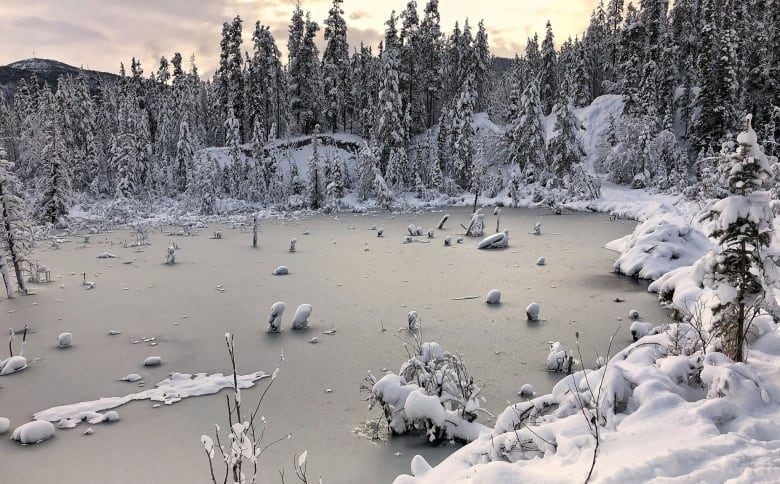 Click to enlarge Marianna Berko snapped this photo near the Crestview neighbourhood in Whitehorse after she lost power at her home