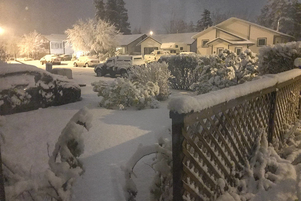 Click to enlarge Snow falls heavy in a Takhini neighbourhood during the night between Saturday and Sunday, Oct. 5 and 6.