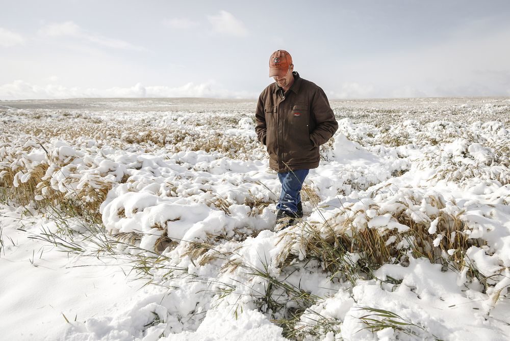 A Foot of Snow Is Forecast to Bury Crops in Great Plains, Canada