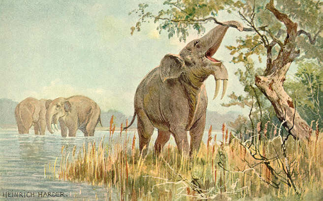 Click to enlarge Miocene