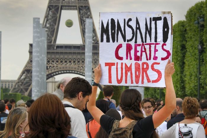 Click to enlarge Monsanto protest
