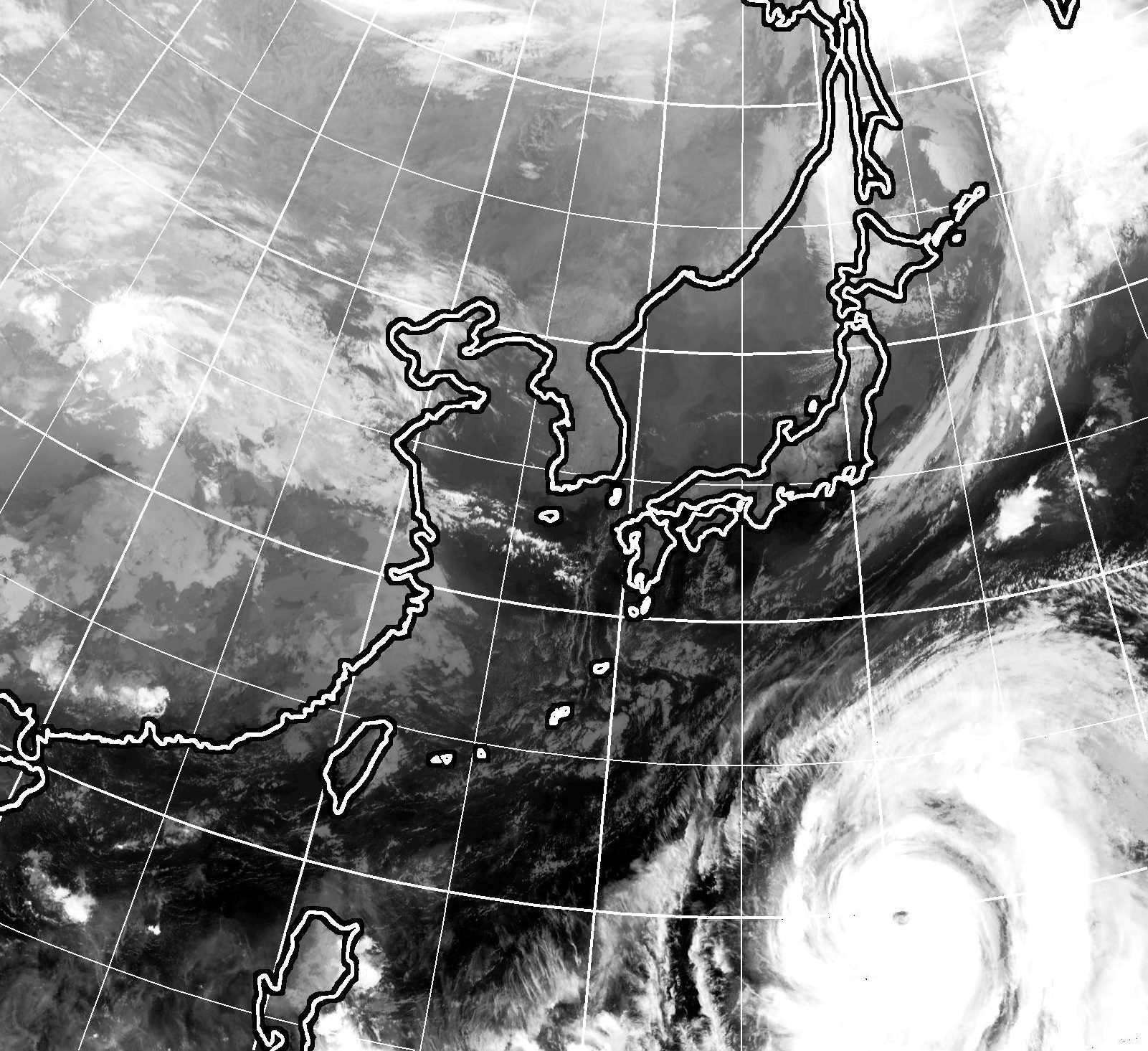 Typhoon Hagibis