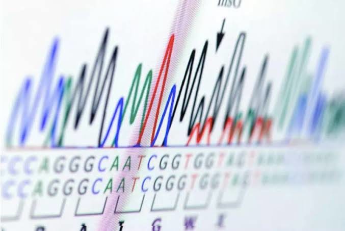 Click to enlarge Genetic Analysis