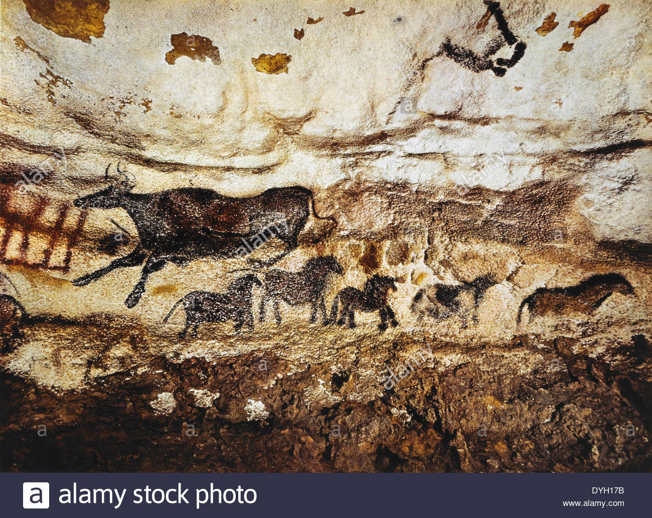 Cave painting of cow & horses, Lascaux, France
