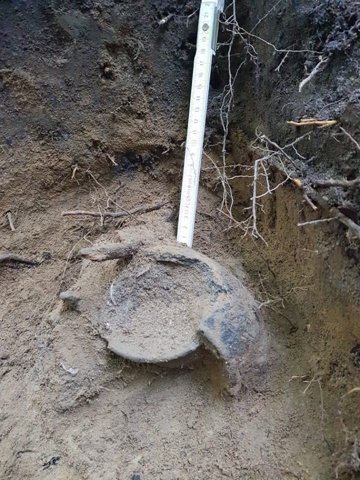 Click to enlarge coins