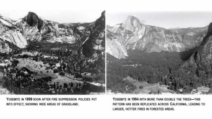 Yosemite 2 pic