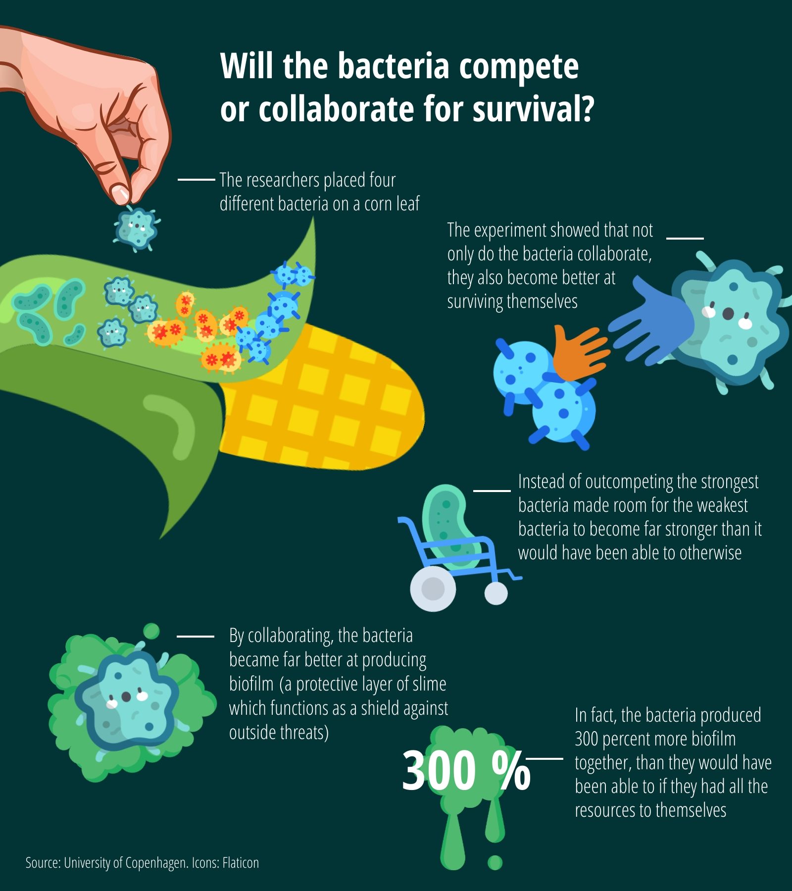 Bacteria Collaboration
