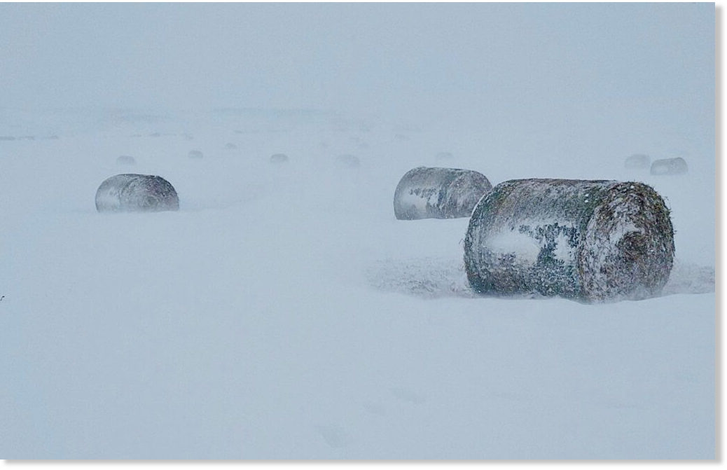 Ice Age Farmer Report ALERT Fall Blizzard Risks 1020 US Acres