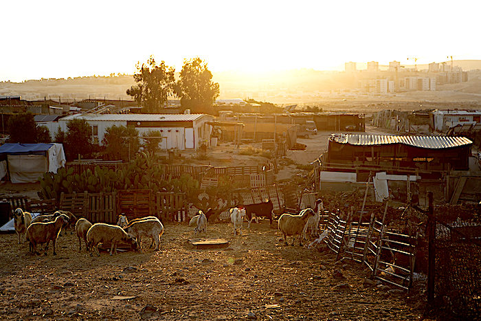 Click to enlarge Bedouin community