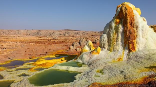 Thermophile