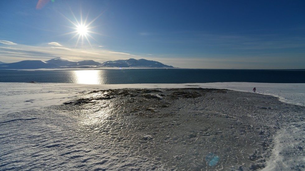 Click to enlarge Arctic