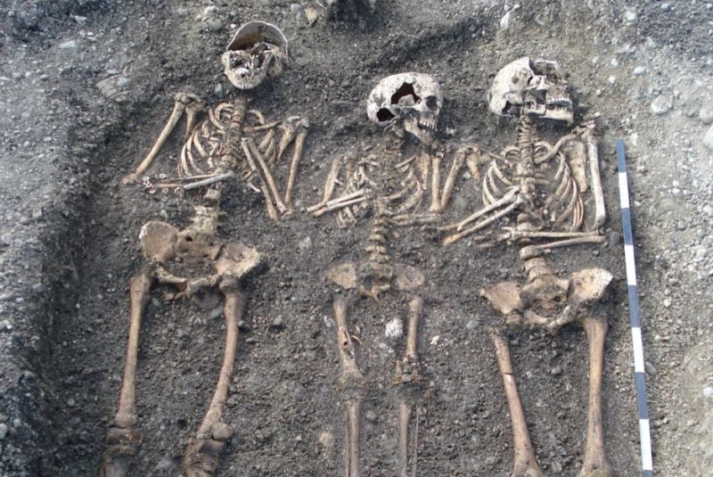Click to enlarge plague