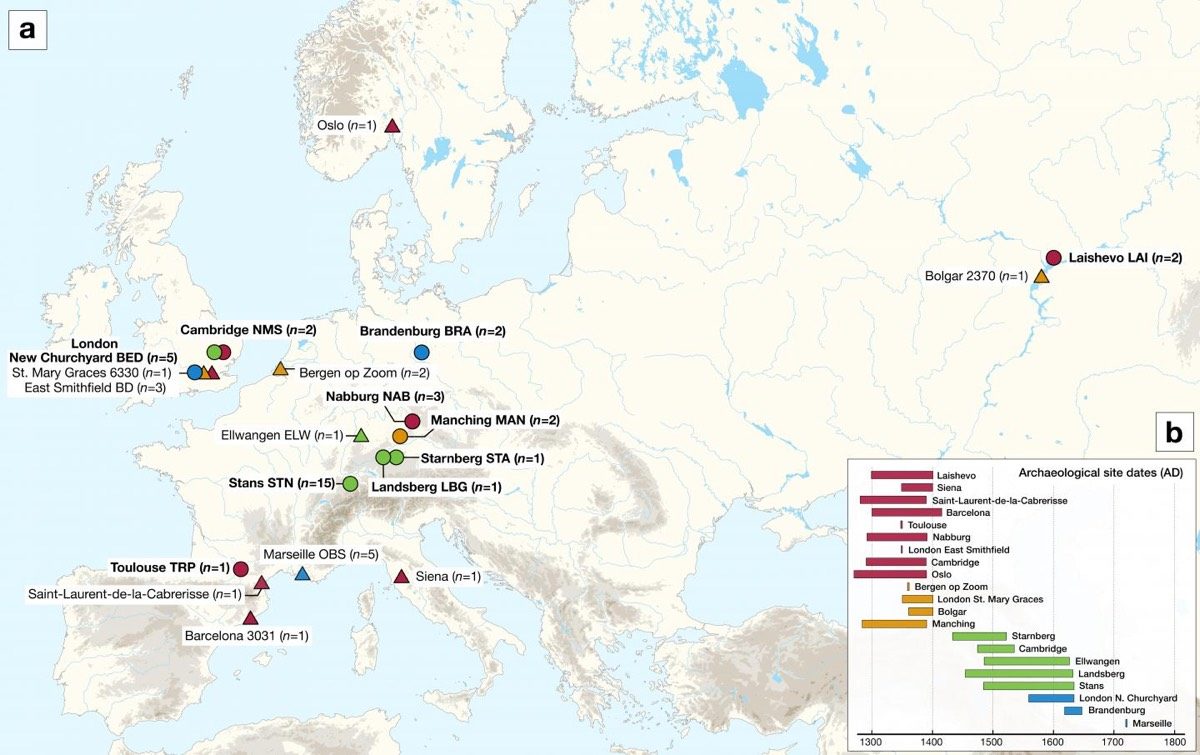 Click to enlarge plague