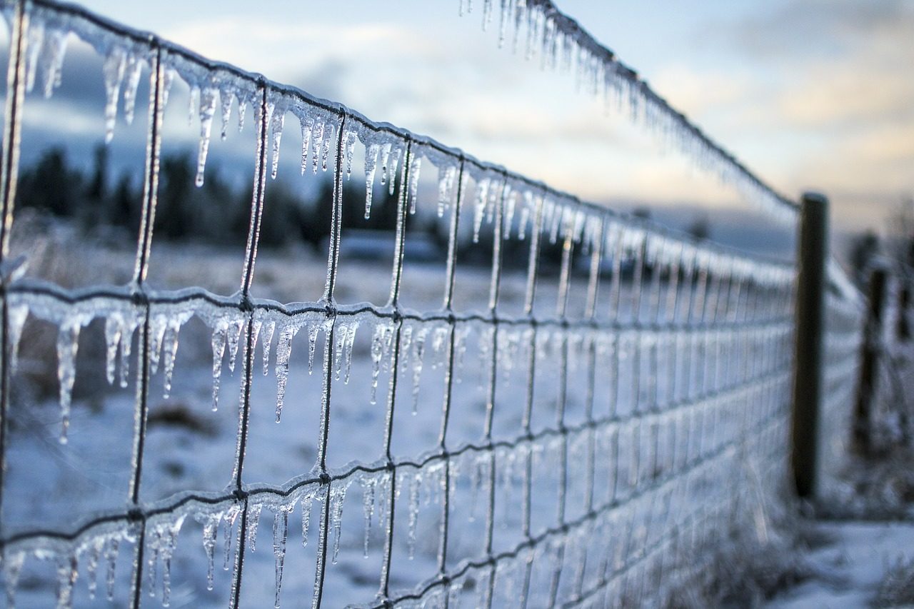 frozen fence