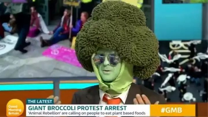 XR Mr. Broccoli