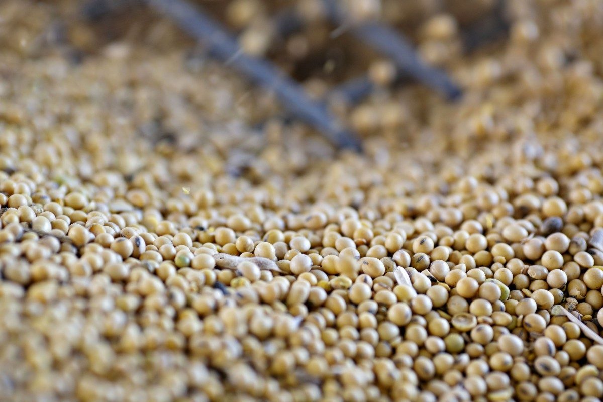 Soybeans
