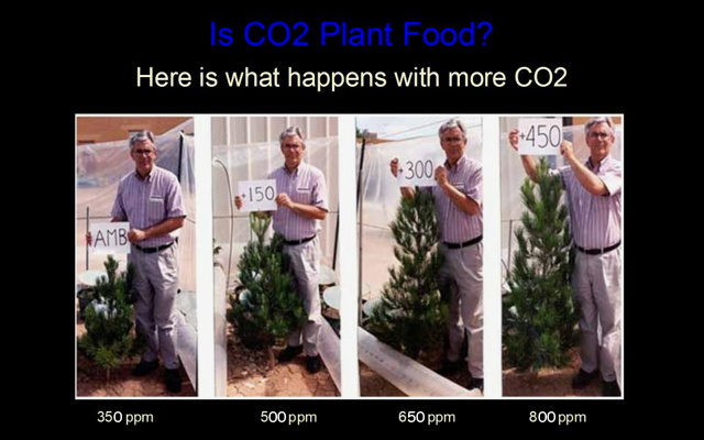 plant growth extra carbon dioxide global warming hoax