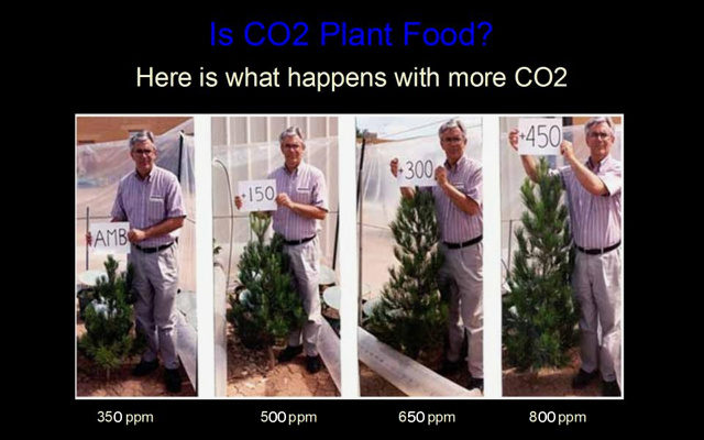 Click to enlarge plant growth extra carbon dioxide global warming hoax