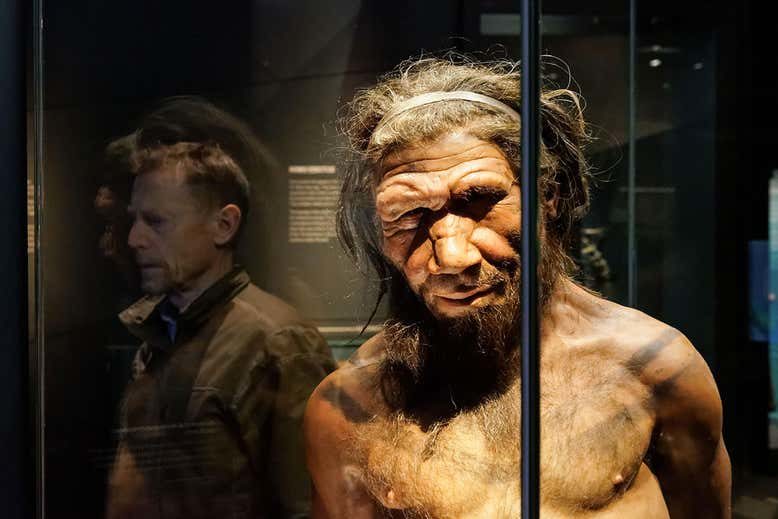 Click to enlarge neanderthal