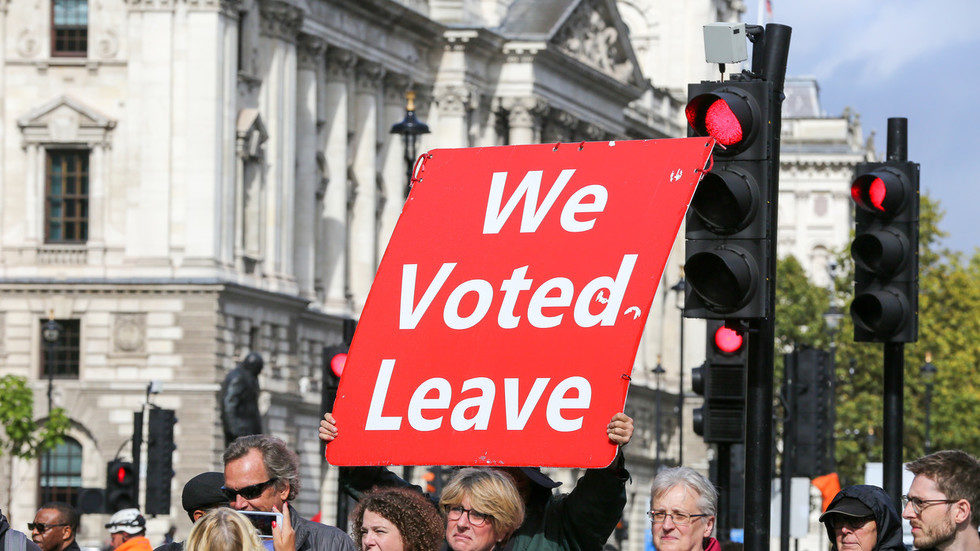 Pro-Brexit demonstrators