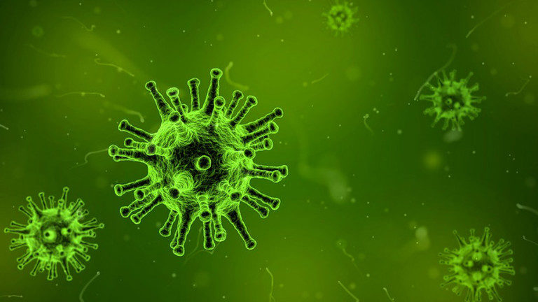 Click to enlarge virus