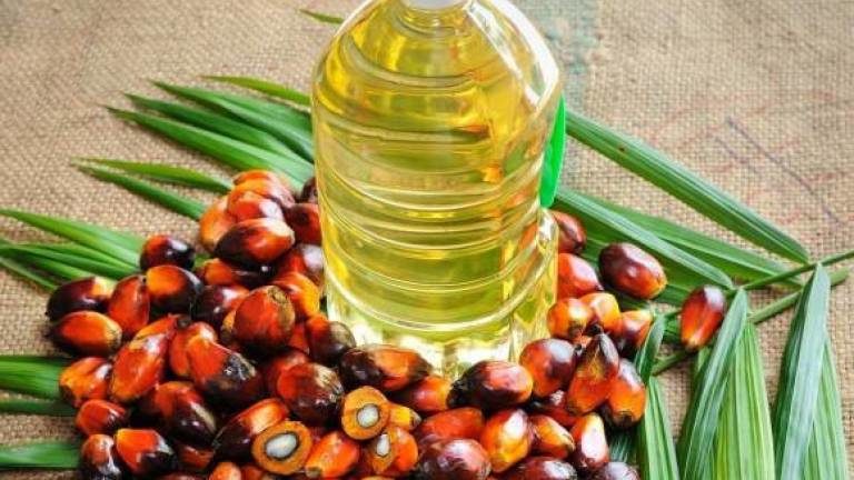 Click to enlarge palm oil