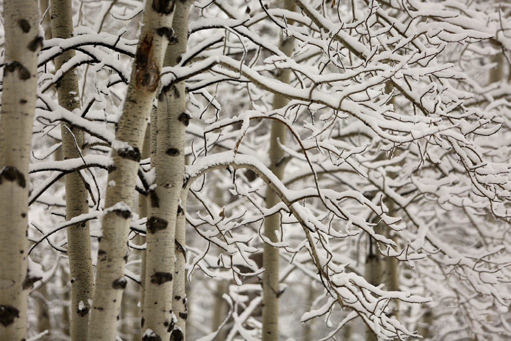 Click to enlarge snow