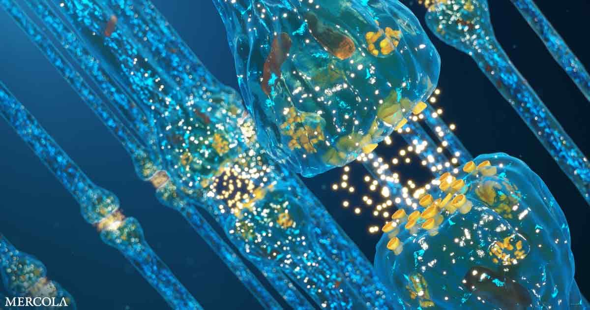regenerative medicine