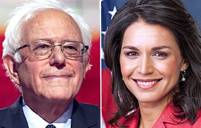 Bernie/Tulsi