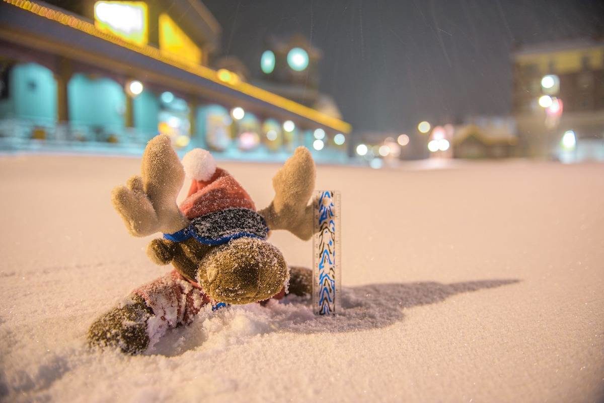 snow