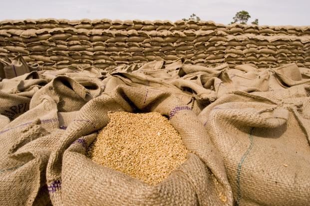 grain