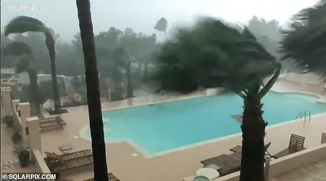 Emergency services were deployed throughout the night to try and find people who had disappeared during the freak flash floods (poor weather conditions pictured in Sant Antonio, Spain)