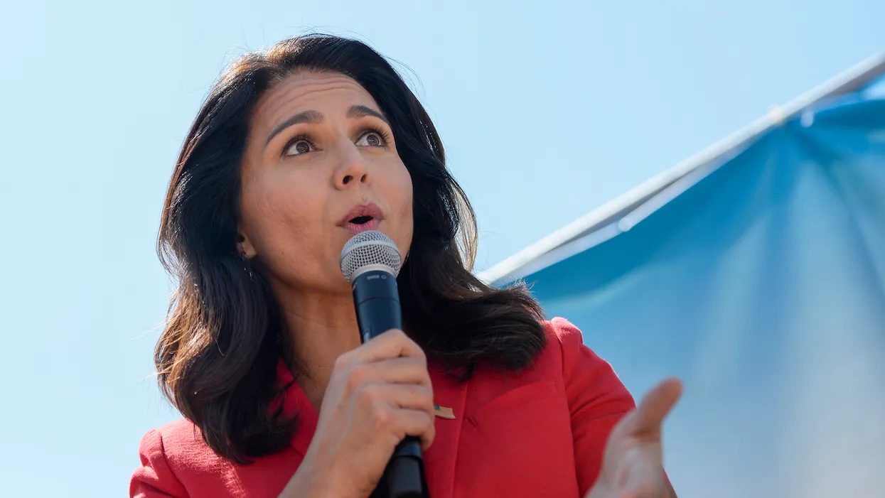 Click to enlarge Tulsi Gabbard