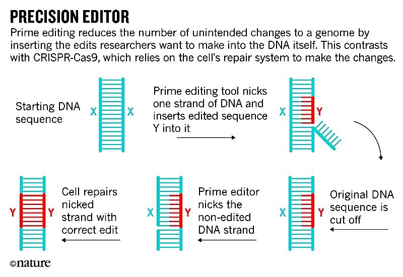 precision editor chart
