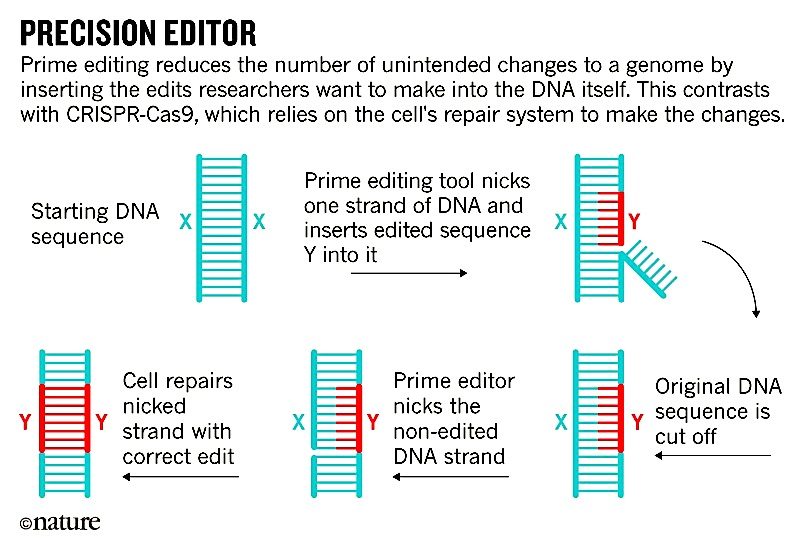 Click to enlarge precision editor chart