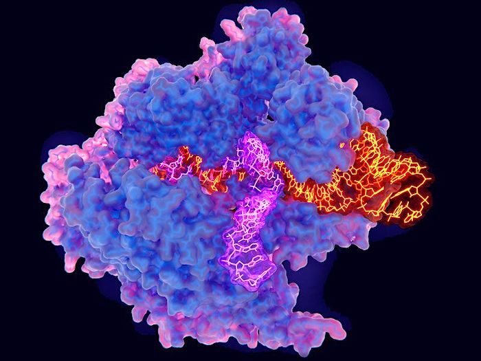 Click to enlarge old CRISPR