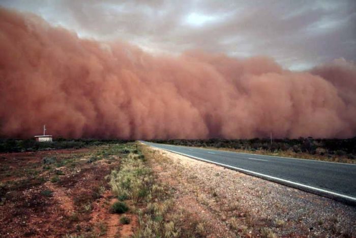 Pilbara