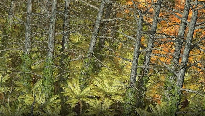 Mutated Ferns