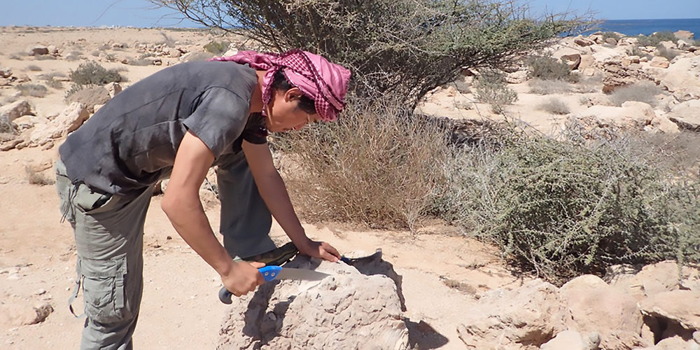 Archaeologist