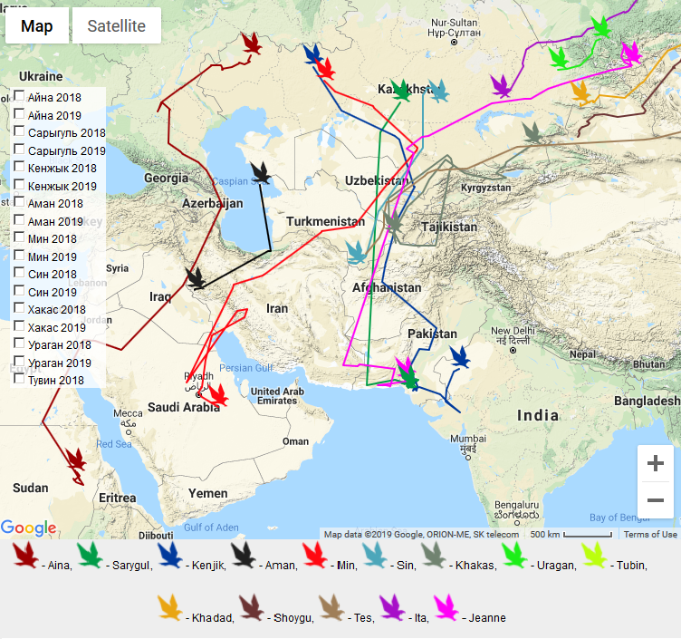siberian eagle migration routes