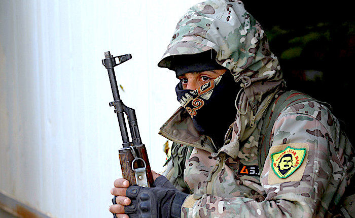 SDF fighter