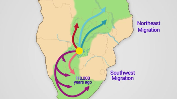 out of africa