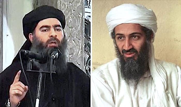 al-Baghdadi, Bin Laden