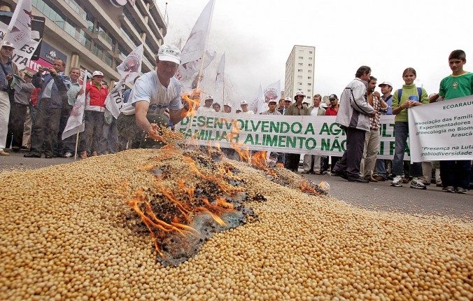 Click to enlarge brasil farmers protest Monsanto