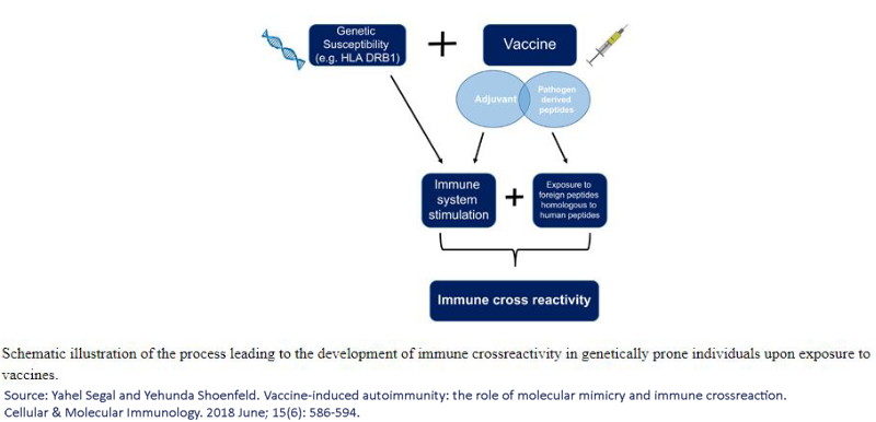 Click to enlarge HPV autoimmune