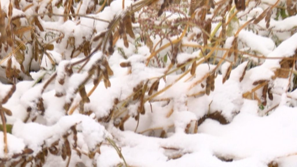 snow