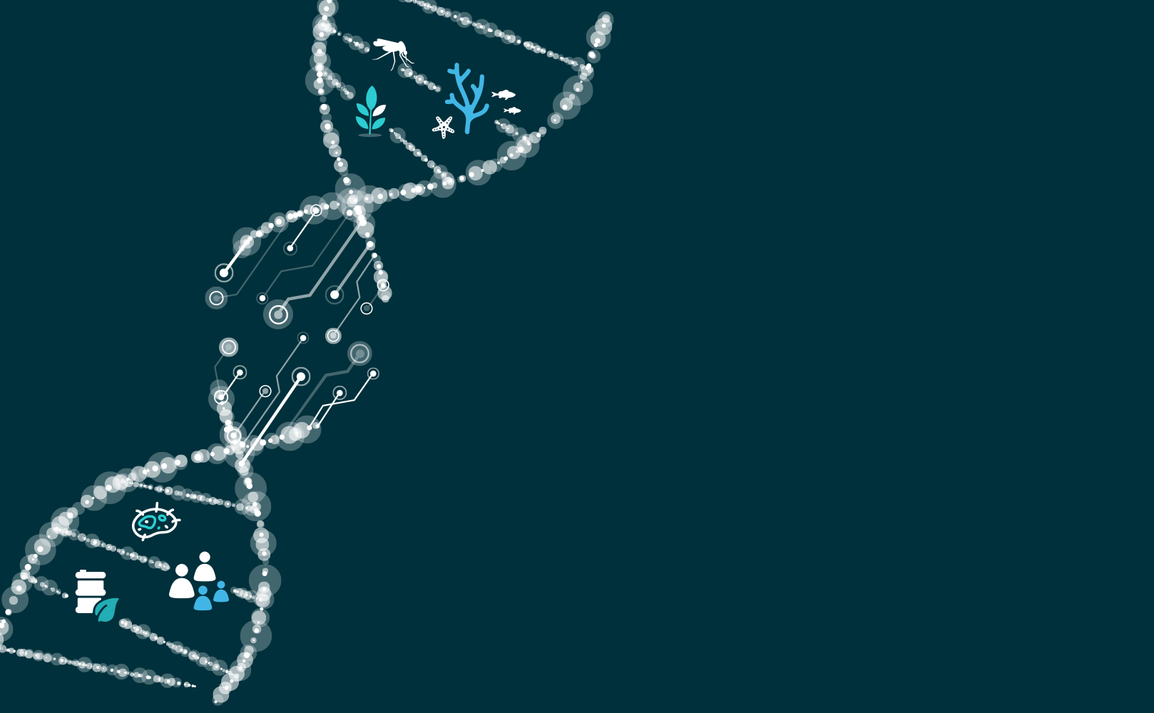 Click to enlarge synthetic biology