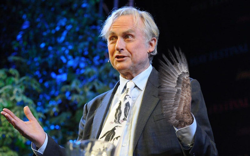 Click to enlarge Dawkins evolution
