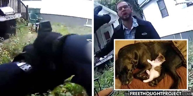 Click to enlarge Rochester cop kills dog