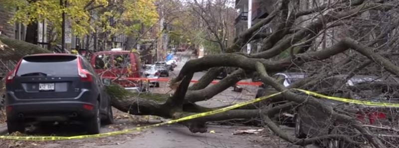 Quebec wind storm